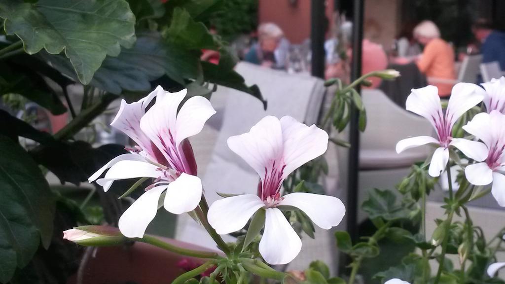 Ristorante Al Caminetto Worldhotels Crafted Adults Only Hotel Torri Del Benaco
